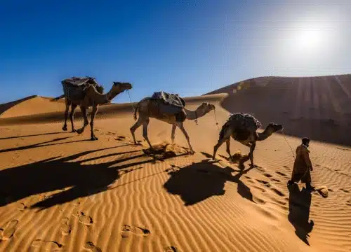 5 Days Sahara Desert Tour from Marrakech & back