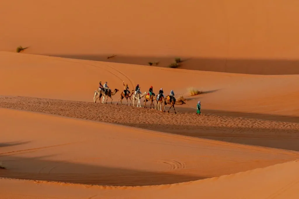 14 Days Tour From Casablanca