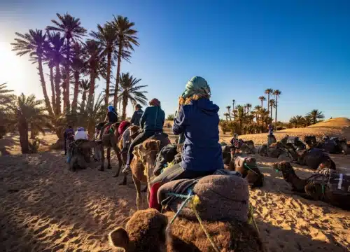 Merzouga Camel Trekking