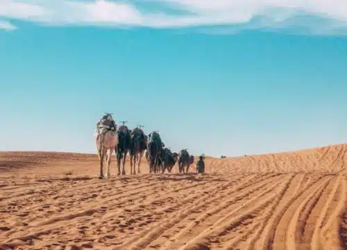 2 Day Desert Tour Marrakech To Merzouga