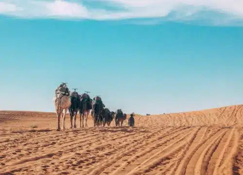 3 Days Fes to Marrakech desert tour