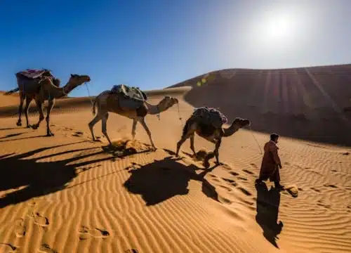 8 Days Morocco Desert Tour From Marrakech