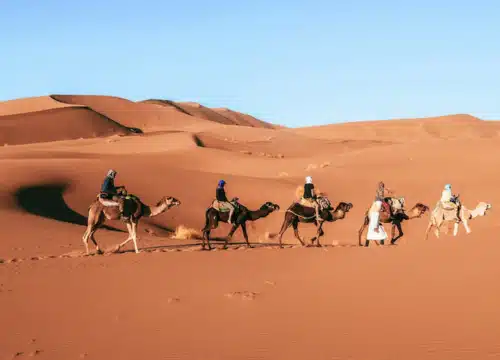 17 Day Morocco Trip