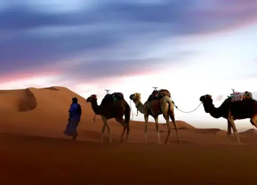 10 Days Morocco Tour from Casablanca