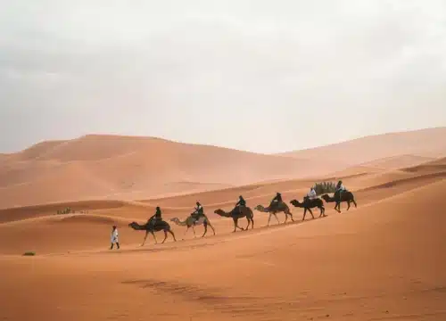 6 Days Desert Tour from Casablanca to Marrakech