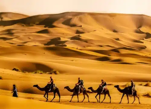 5 Days Desert Tour from Casablanca to Marrakech