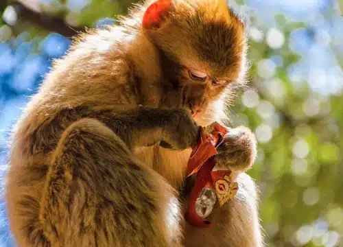 6 Days Desert Tour From Fes to Marrakech