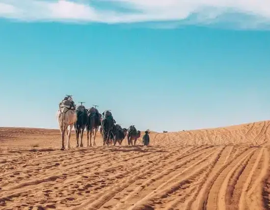 2 Day Desert Tour Marrakech to Merzouga