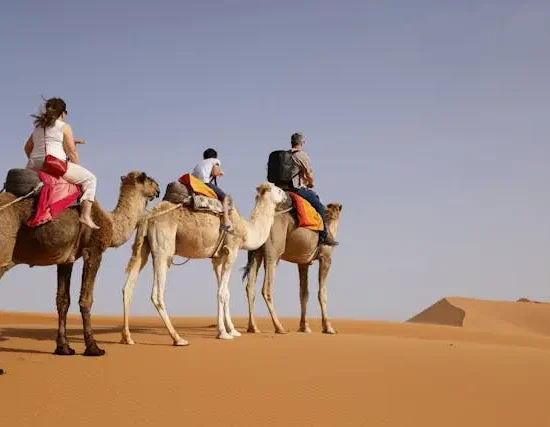 Desert Morocco Tours From Ouarzazate