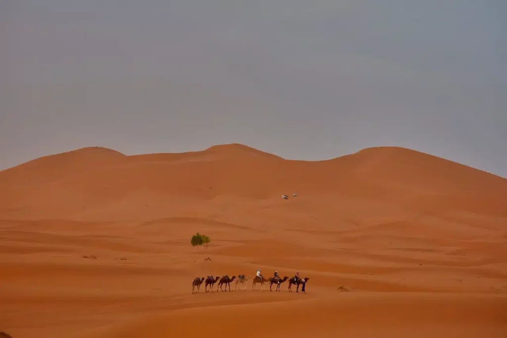Morocco Golden Tours