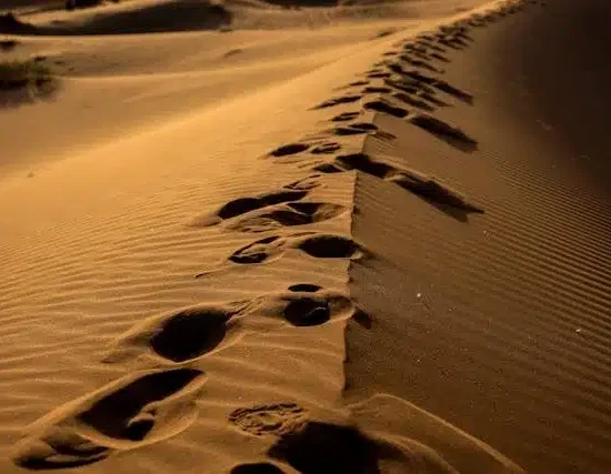 10 Days Morocco Desert Tour From Fes