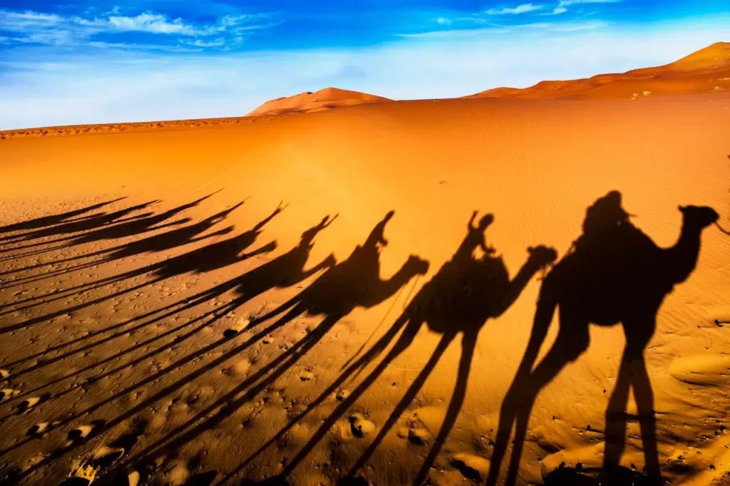 6 Days Desert Tour from Casablanca to Marrakech