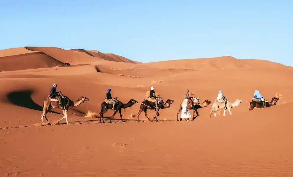 5 Days Morocco Tour from Fes to Marrakech