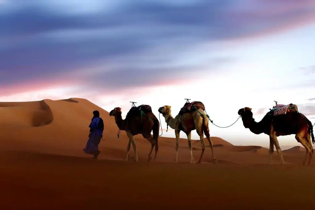 3 Days Tour from Fes to Merzouga