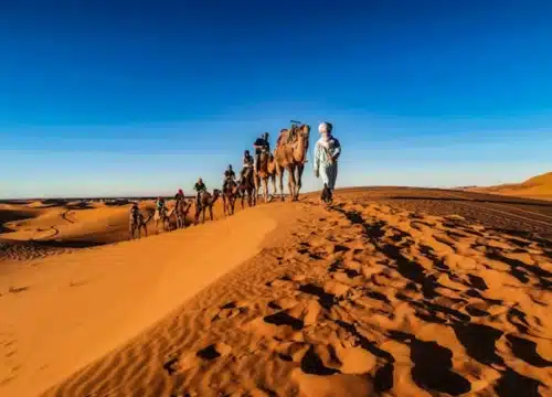 Morocco Family Tours