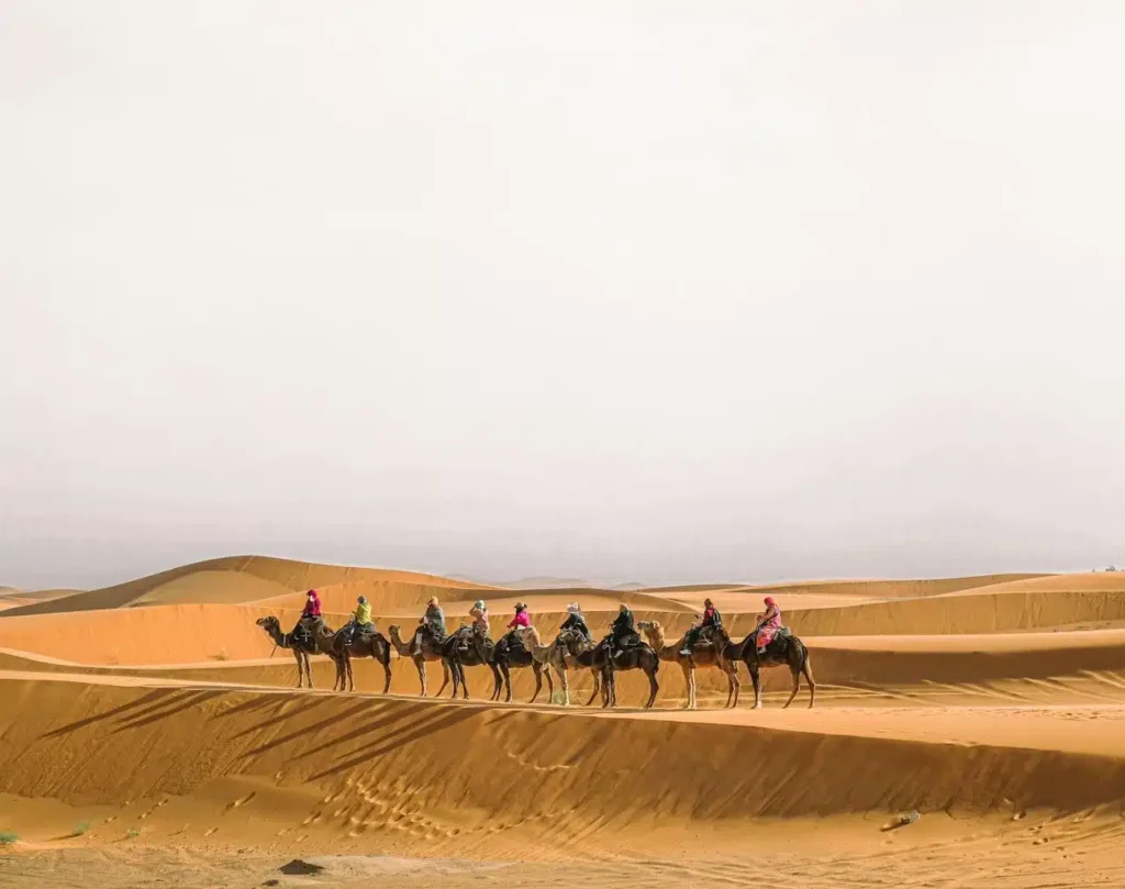 Morocco Family Tours